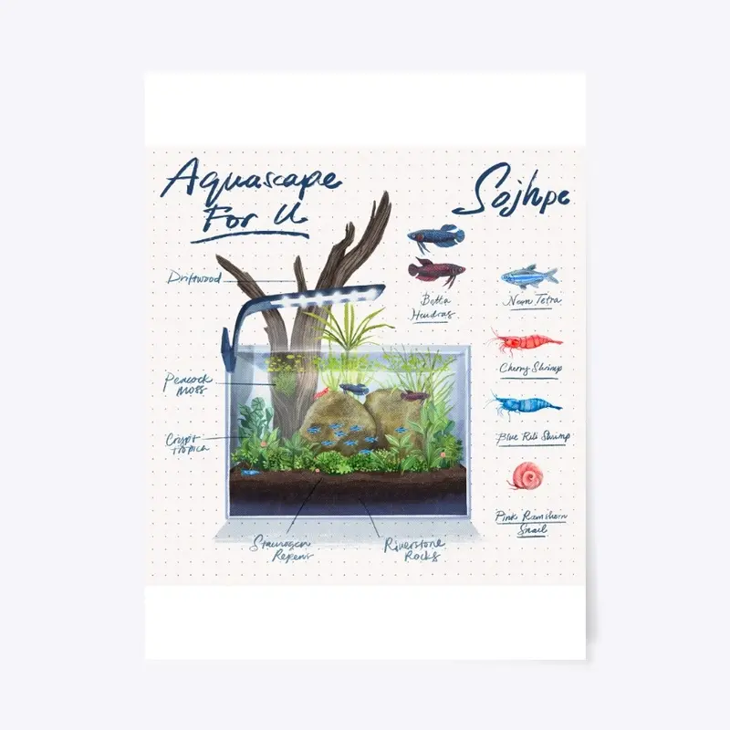 Aquascape For U Betta Variant